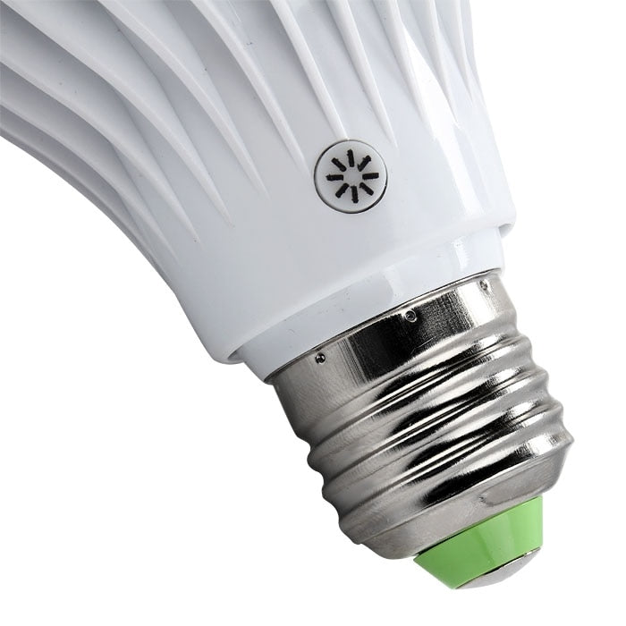 MAGIC BULB