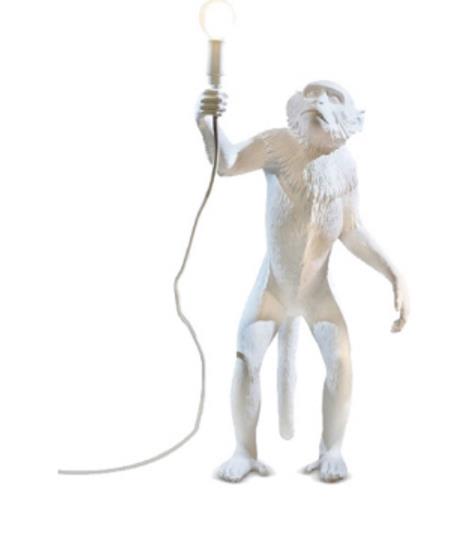 MONKEY